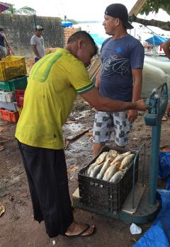 Fisherman in Brazil