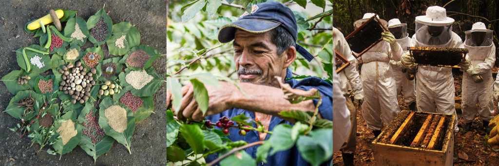 Farming for Biodiversity – Rare