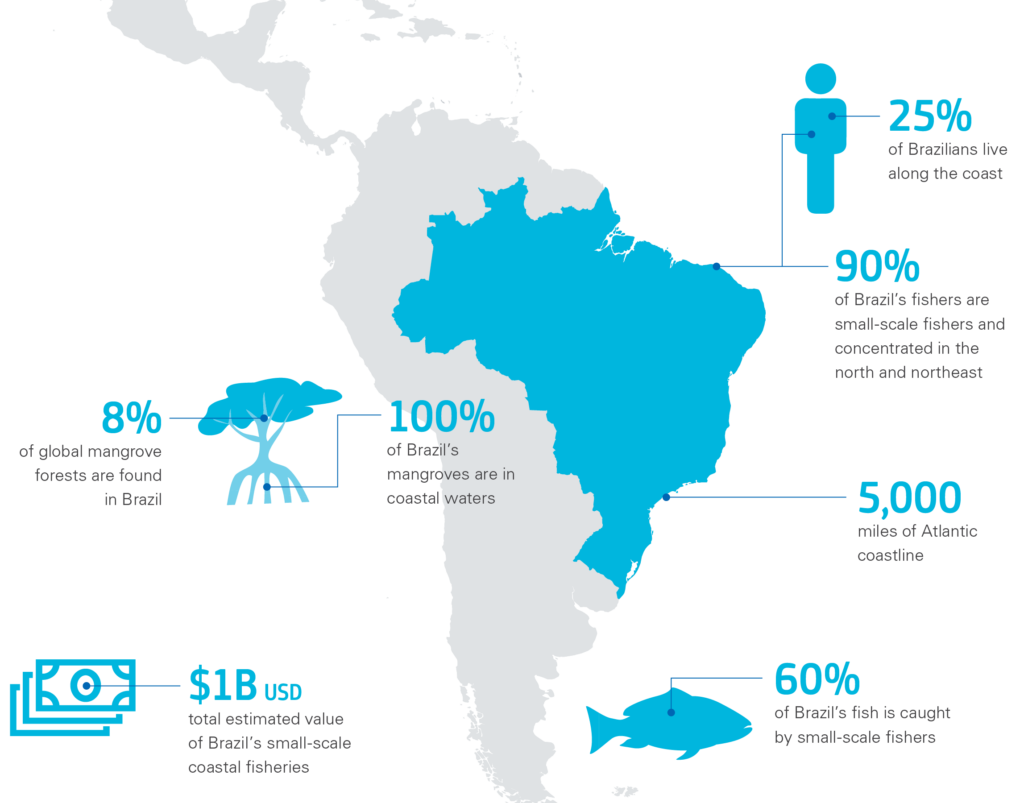 Fish Forever in Brazil Rare