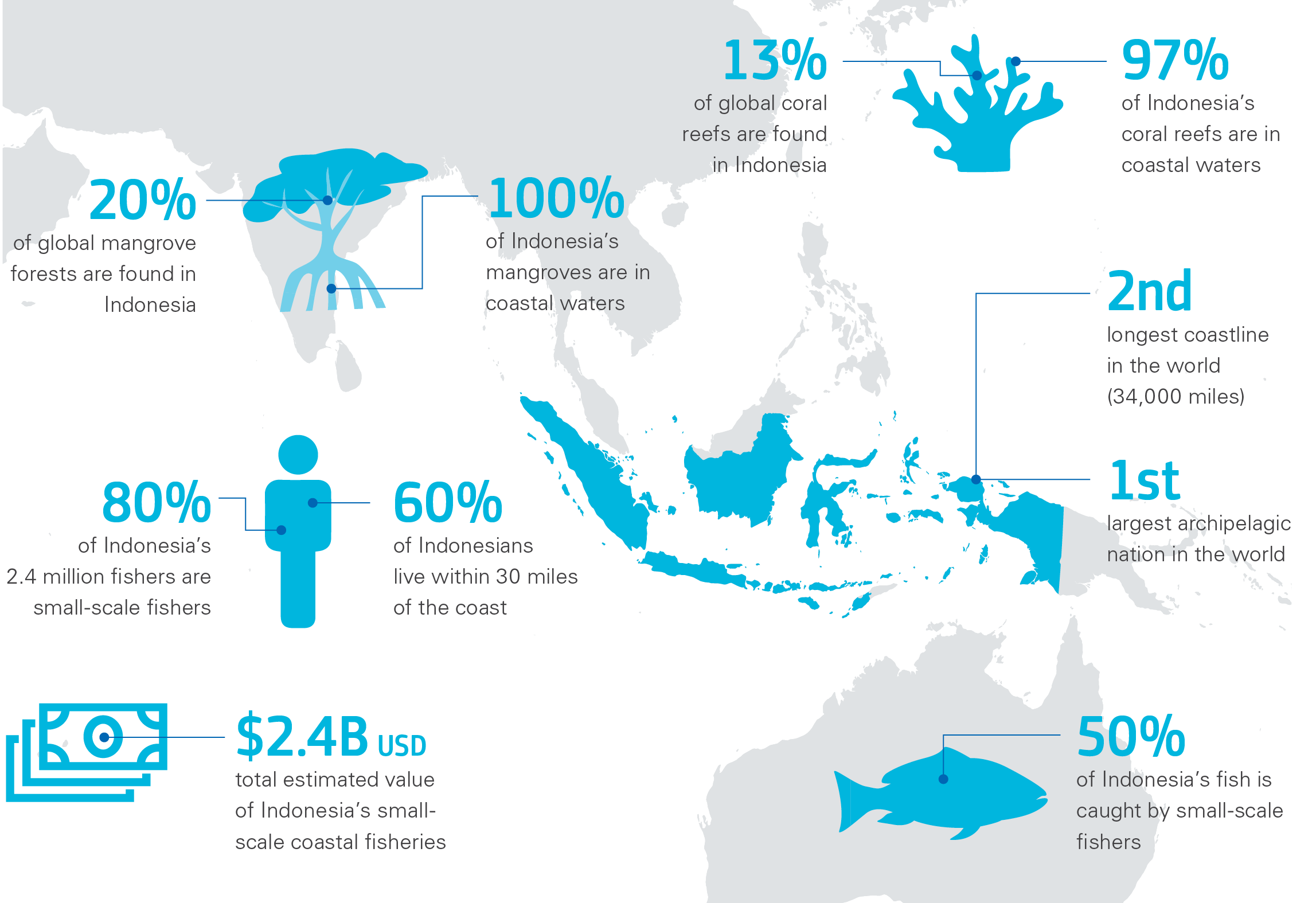 World's smallest fish found in Indonesia