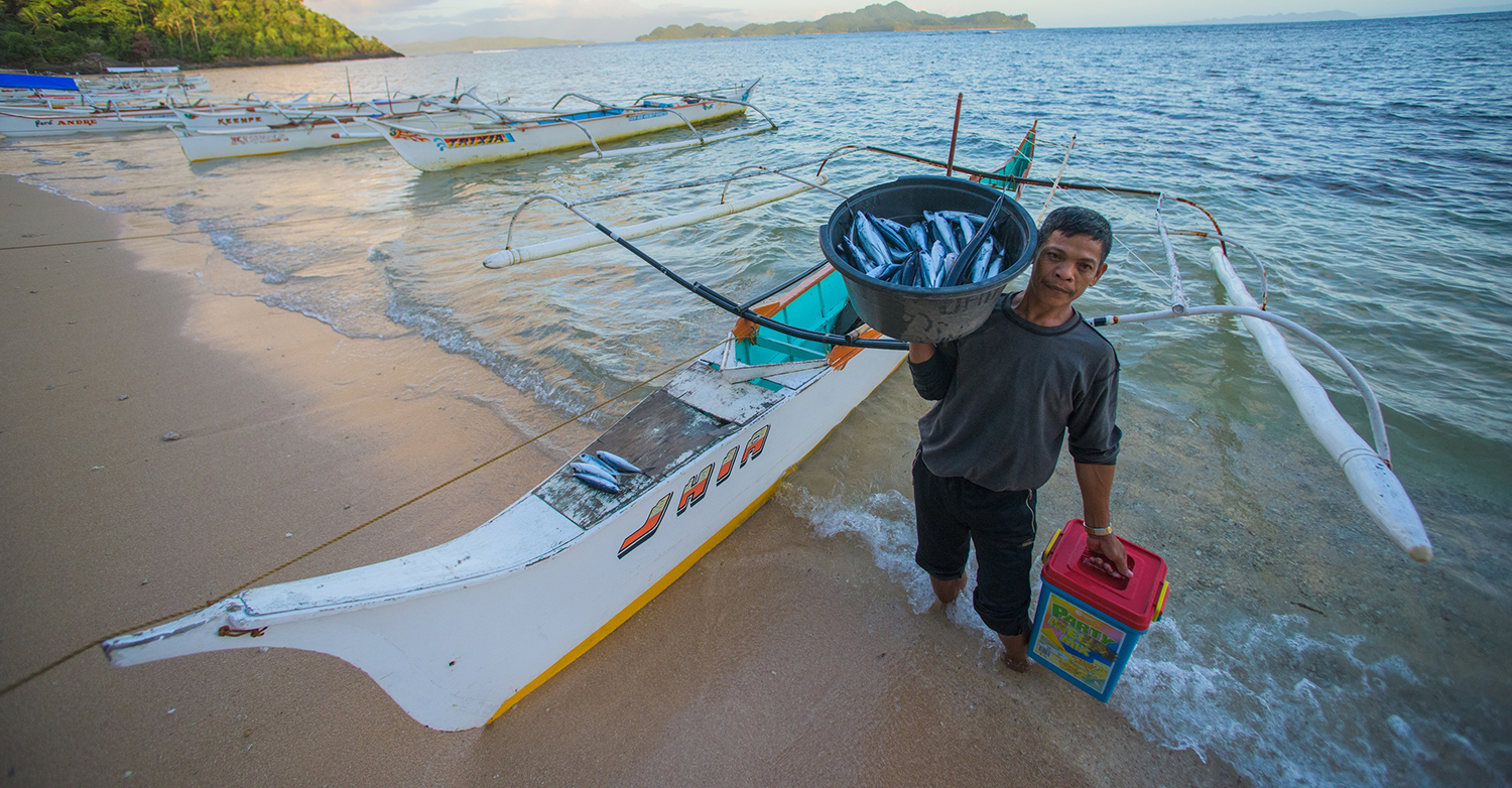 Fish Forever in the Philippines – Rare