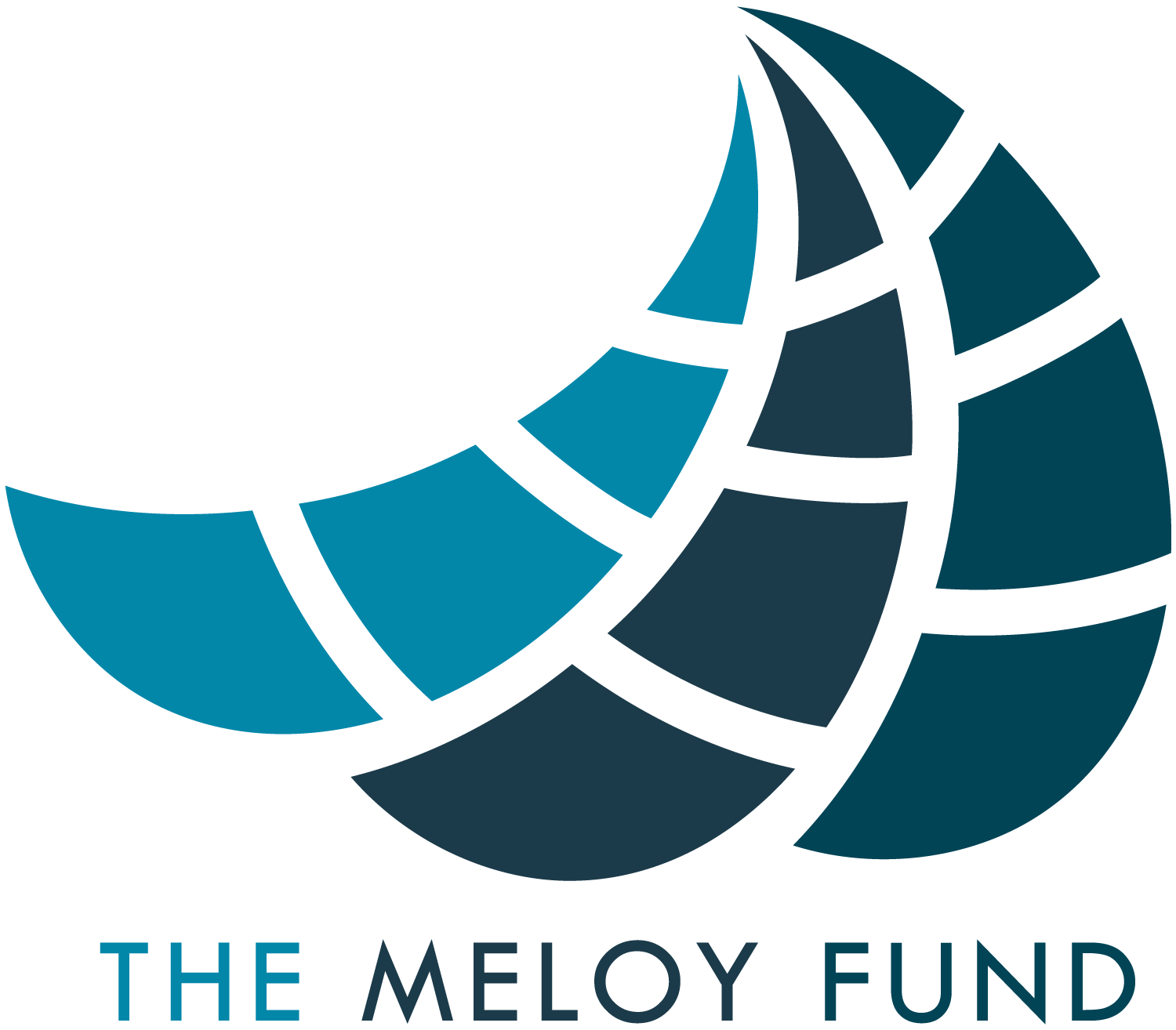 Meloy Fund logo