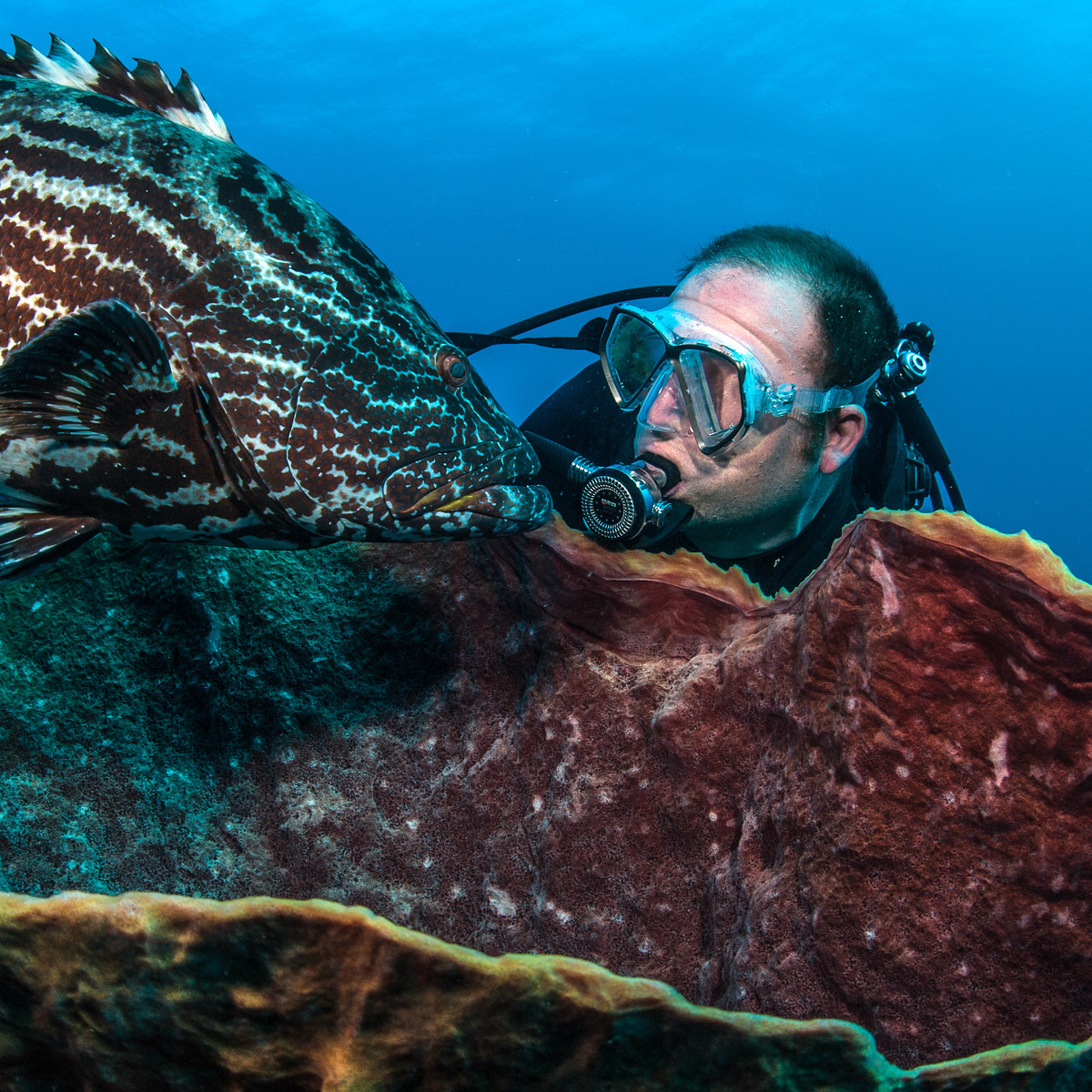 Steve Box underwater