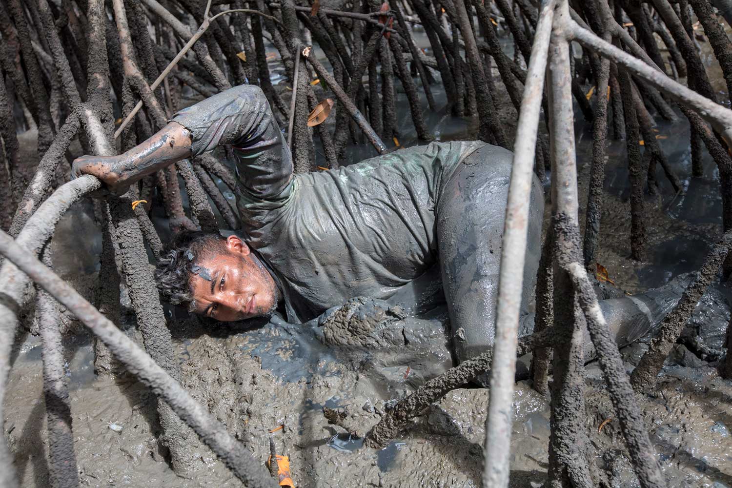 Man in mangrove mud