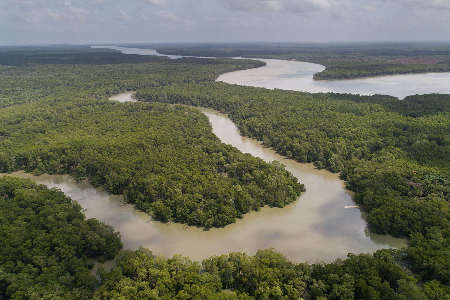 São João da Ponta Marine Extractive Reserve’S mangrove ecosystem.