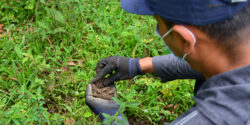 Farmer in Meta Colombia tending to the soil.