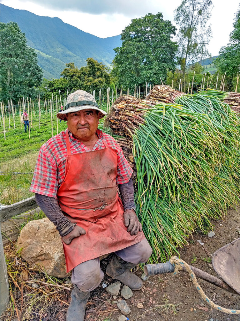 Don Jose Valencia sitting next to his harvest in Colombia.