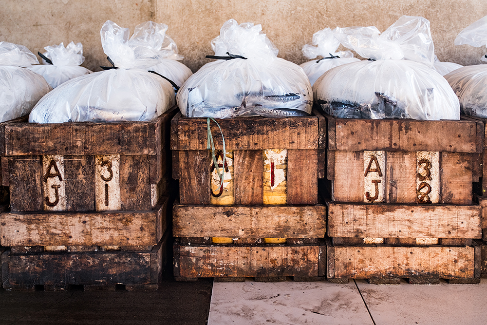 Photo og 3 wooden crates filled with the day's fish catch in Mercedes, Philippines. 