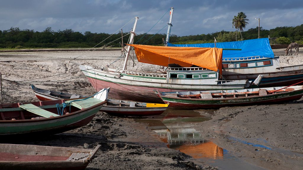 Small-scale fishing boats docked in Brazil.