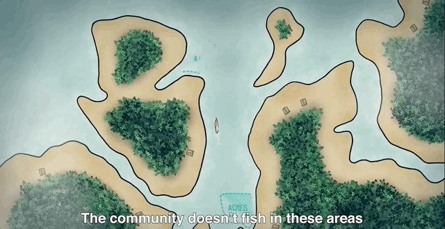 Gif from an explainer video of the importance of marine reserves.