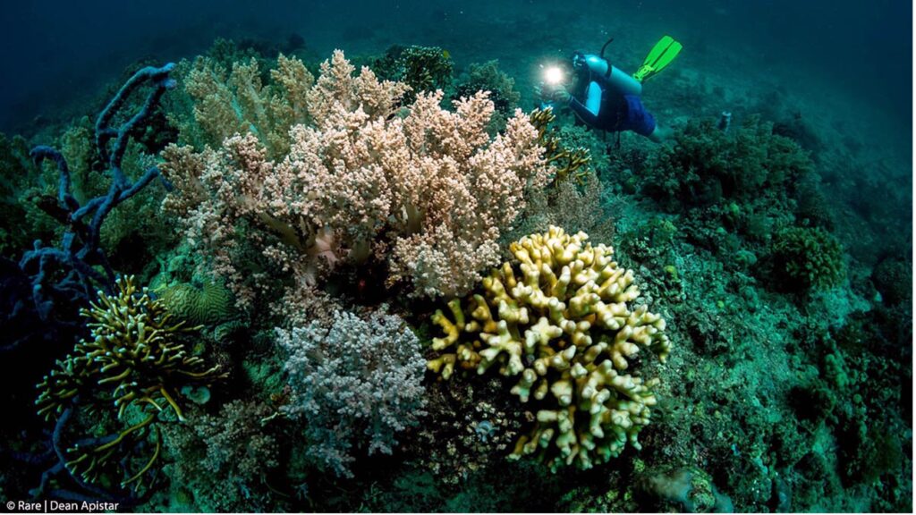 Scuba diver taking a photo of a coral reef.