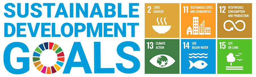 UN Sustainable Development Goals