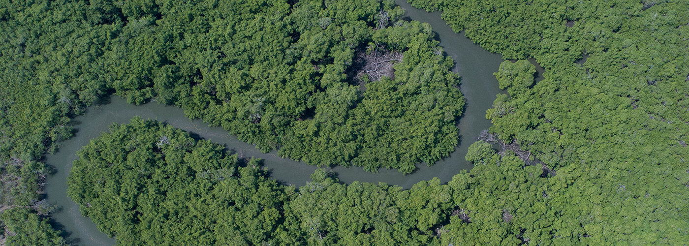 aerial of brazilian coast.