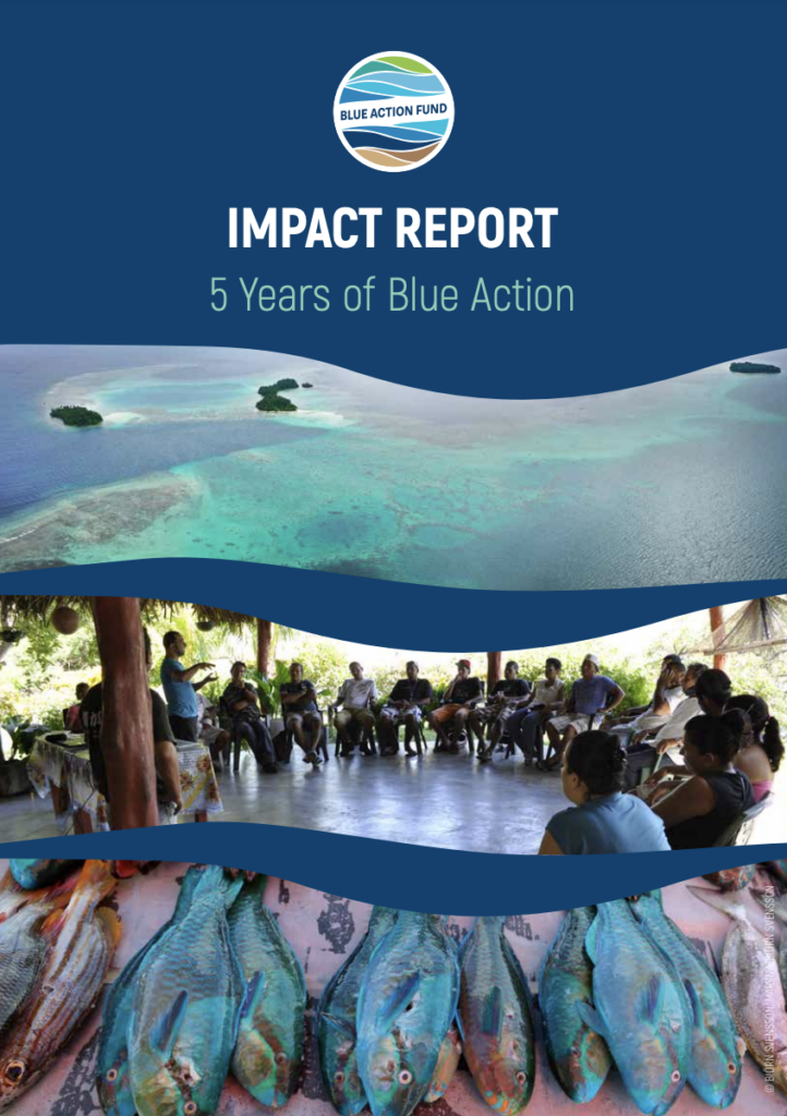 Blue Action Fund & Rare report cover.