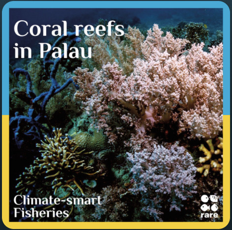 Title card for Podcast: Conserving coral Reefs in Palau