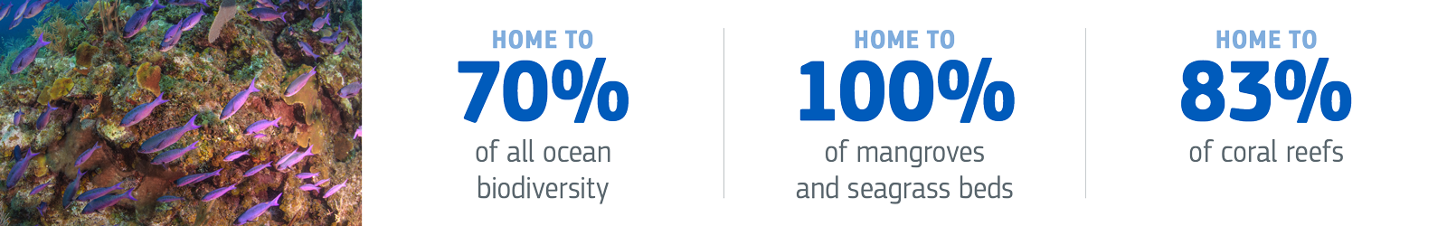 Most ocean biodiversity - about 70% - lives within the territorial seas. They are home to 100% mangroves and of seagrass beds, 83% of coral reefs