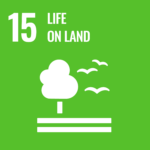 UN SDG 15
