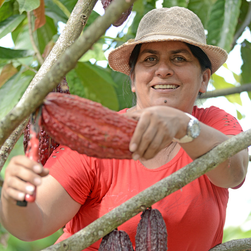 Cacao farmer in Meta, Colombia.