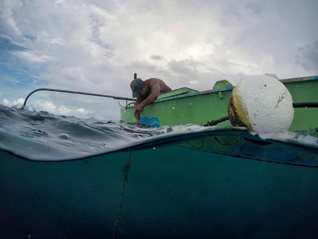 Local fisherman leaning out of his boat to check a buoy in a marine protected area in The Philippines.