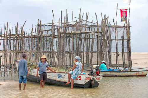 Fishers at a corral fishery (aka "curral de pesca") on Ilha do Rato.