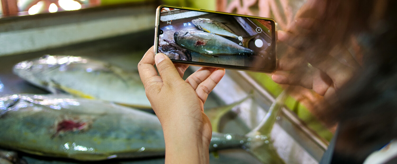 Jacquelyn Caranay, a fish buyer, keeping records of the fish she's buying using the OurFish app.