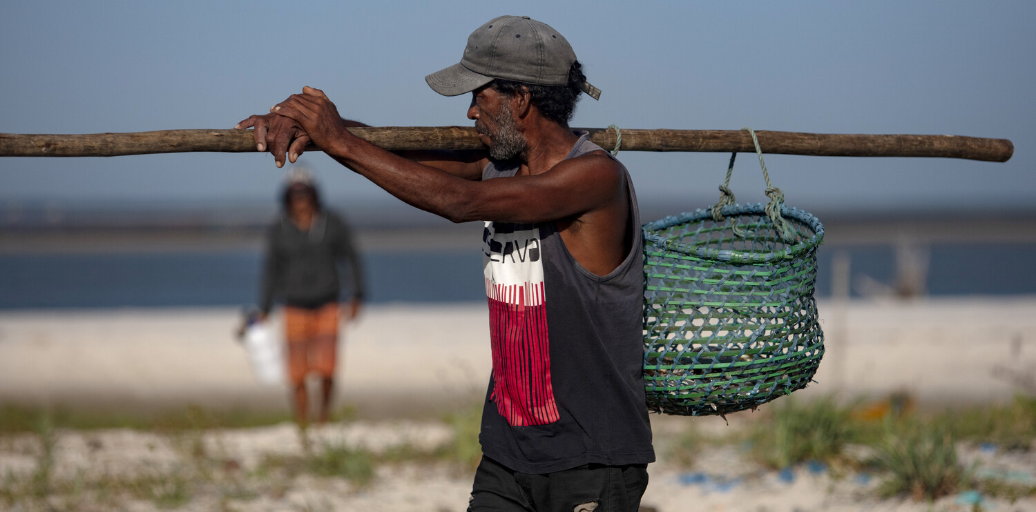 Fisherman hauling his catch in a basket in Pará State - Brazil