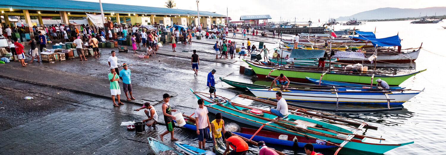 An hour before sunrise, the Mercedes fish port is already packed.