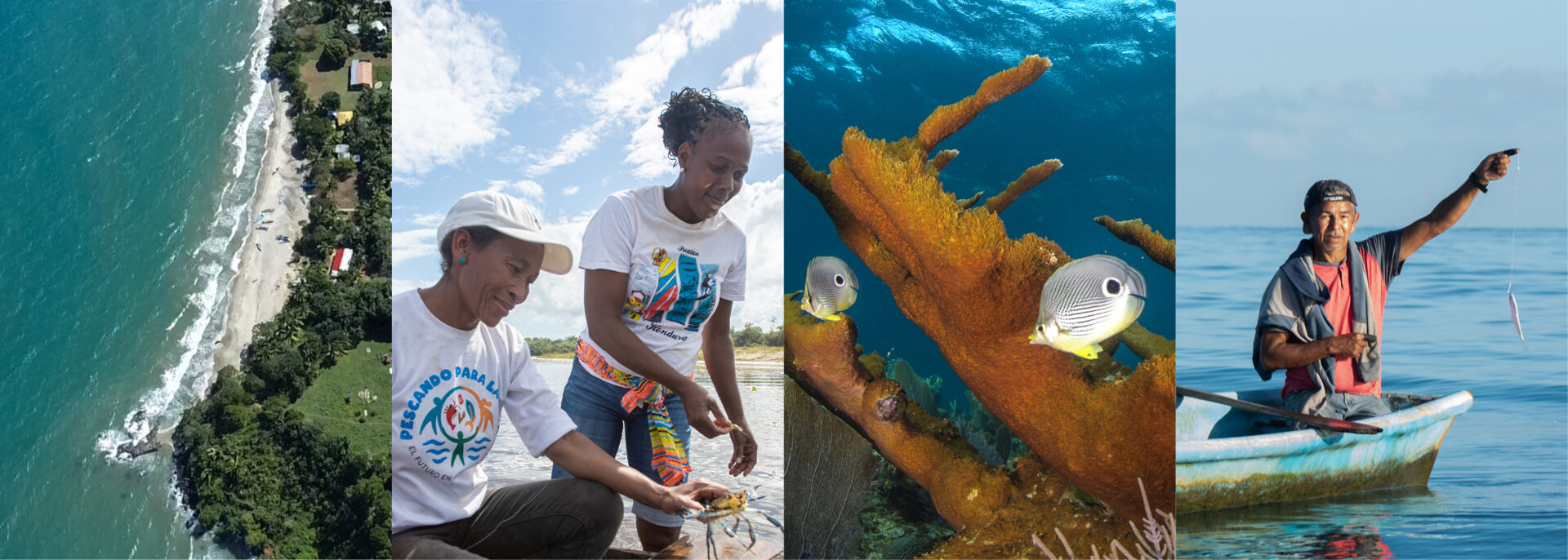 collage of ocean photos from Honduras
