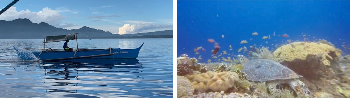 Fisher in boat and turtle under water. Southern Leyte, Philippines.