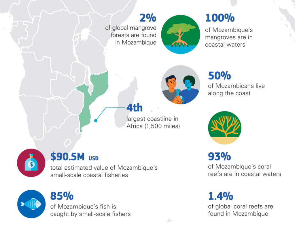 Infographic about community seas in Mozambique.