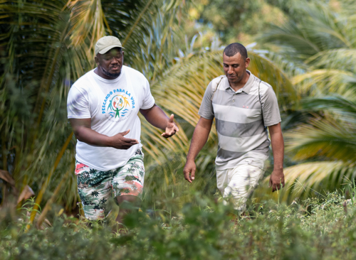 Two men walking through palm trees in Honduras.