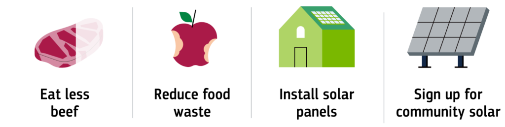 Icons representing beef, an apple, a house and solar panels.