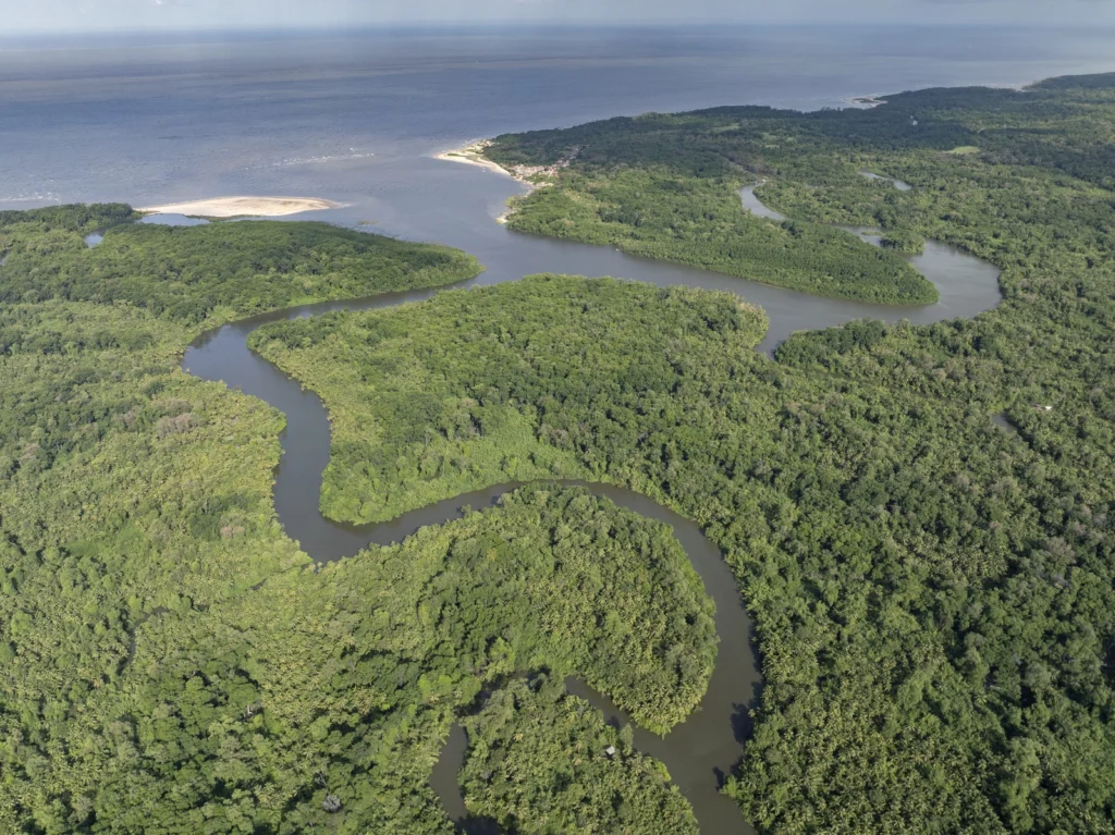 Aerial view of mangroves and channels in Vila do Pesqueiro community in Resex Soure, Pará, Brazil.