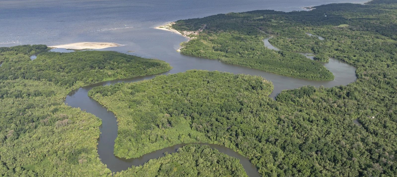 Aerial view of mangroves and channels in Vila do Pesqueiro community in Resex Soure, Pará, Brazil.