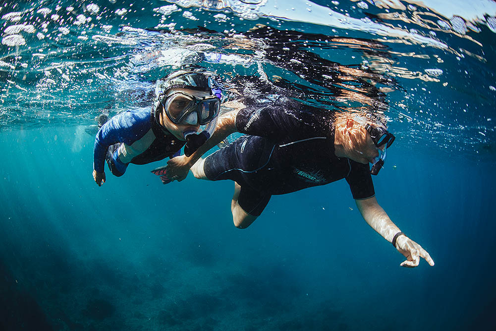 Snorkeling in Raja Ampat.