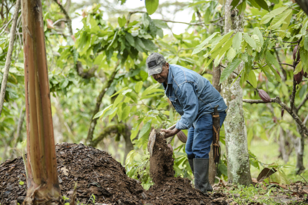 a farmer shoveling compost