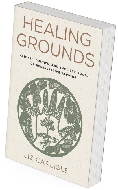 Cover of Healing Grounds by Liz Carlisle.