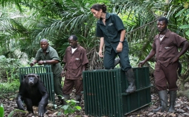 Jane Goodall Institute