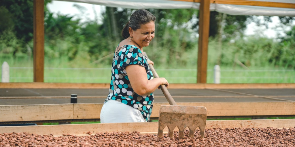 Cacao farmer sorting her beans in Colombia.