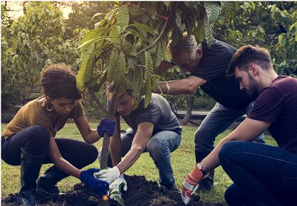 Youth Planting Trees