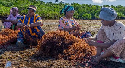 Environmental Practices