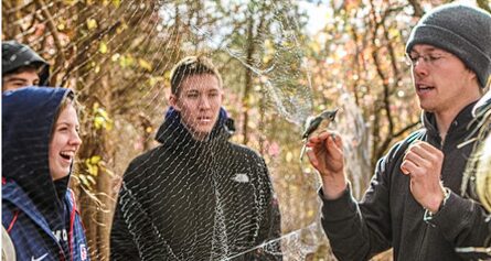 Environmentalism Efforts 