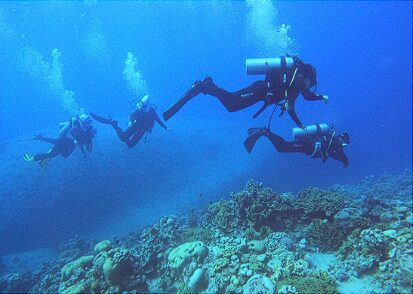 divers observing reefs