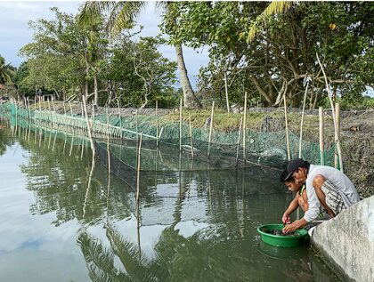 Safeguarding Coastal Areas and Reefs