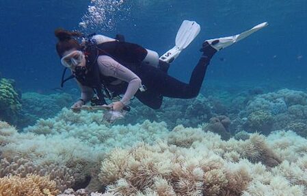 Marine Researcher Checking Reefs