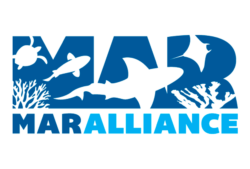 MAR Alliance’s Logo