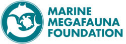Marine Megafauna Foundation’s Logo