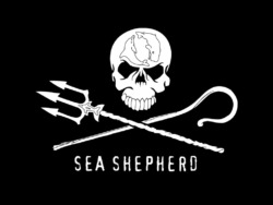 Sea Shepherd Conservation Society’s Logo