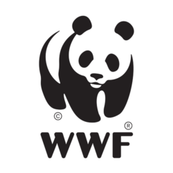 World Wildlife Fund’s Logo