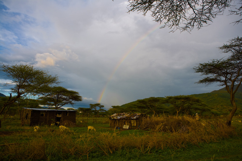 Samburu County at the base of the Mathews Mountain range with a rainbow and livestock